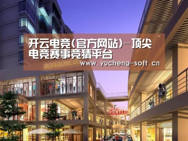 案例展示一(图1)