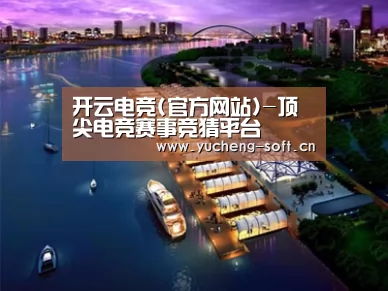 案例展示八
